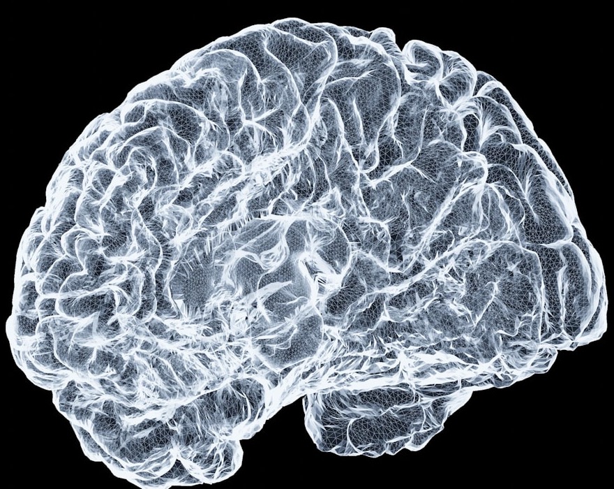 A wireframe rendering of a brain, representing the connected model Atlas builds for each brand.
