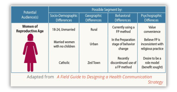 Healthcare audience segmentation table showing women of reproductive age by channel and content need